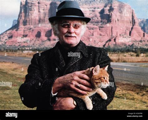 art carney son|art carney harry and tonto.